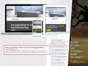 SEO: SEO & Internet Marketing, Websites