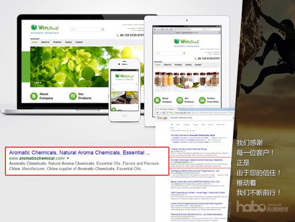 SEO: Search Engine List