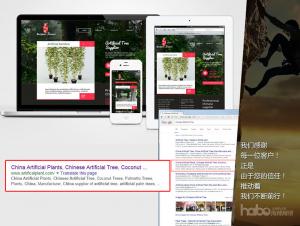 SEM: Search Engine Marketing Website
